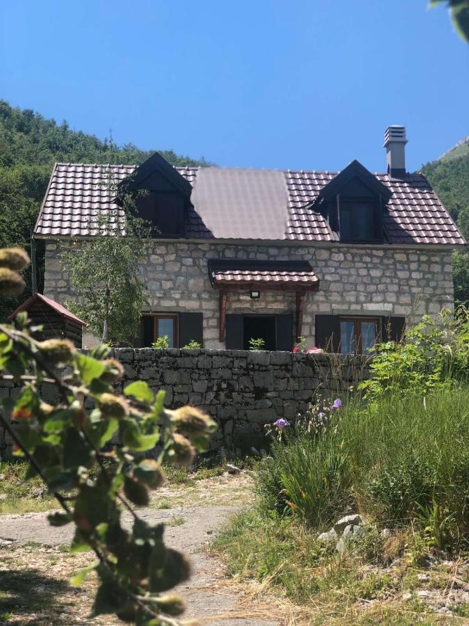 Lovcen Holiday Home Cetinje Bagian luar foto