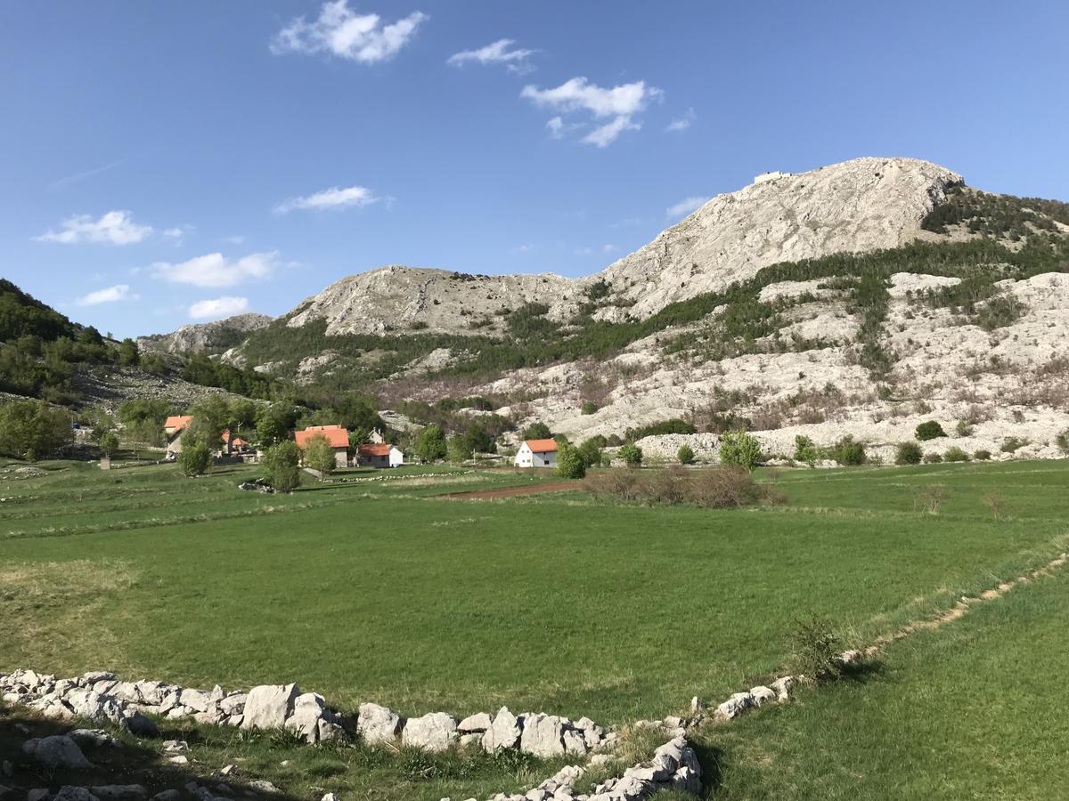 Lovcen Holiday Home Cetinje Bagian luar foto