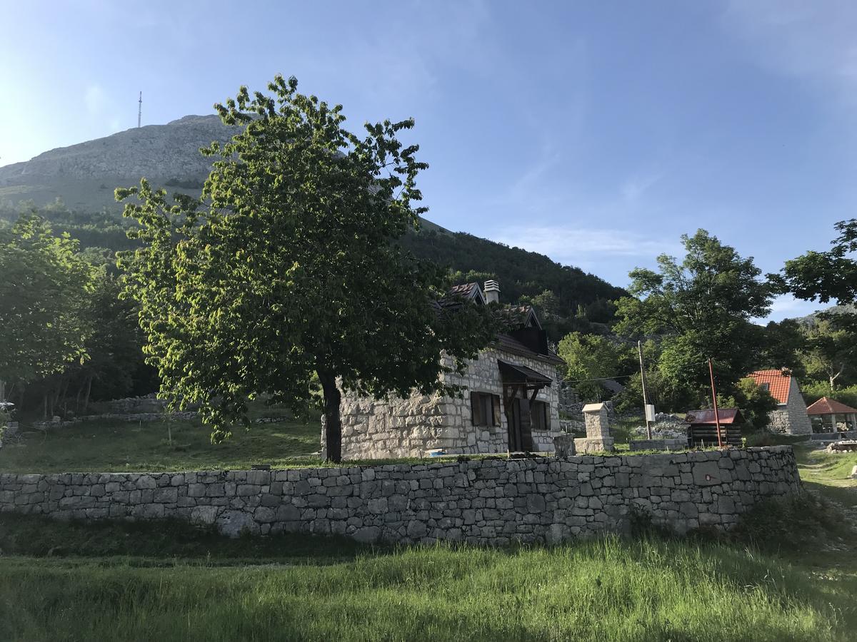 Lovcen Holiday Home Cetinje Bagian luar foto
