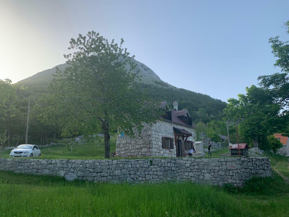 Lovcen Holiday Home Cetinje Bagian luar foto